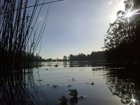 Crédito Foto: Juan Celedon