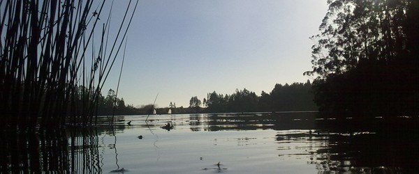 Crédito Foto: Juan Celedon