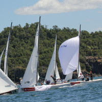 © Andres Daroch - Sorvest.cl