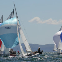 © Andres Daroch - Sorvest.cl