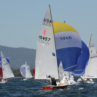 © Andres Daroch - Sorvest.cl