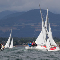 © Diego Daroch - Sorvest.cl