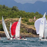 © Diego Daroch - Sorvest.cl