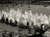 Semana de Buenos Aires - Optimist © Lu Bosisio