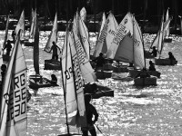 Flota Optimist © Matias Capizzano