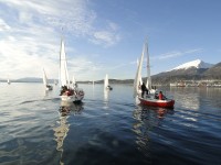 Regata / Club de Yates Micalvi